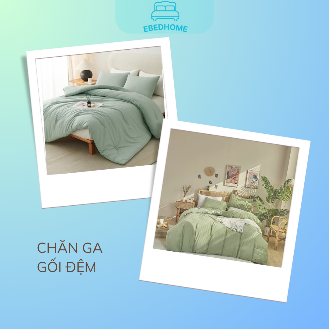 Chăn ga gối đệm màu xanh lá cây, xanh ngọc