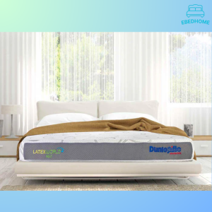 nệm cứng được ưa chuộng hiện nay 